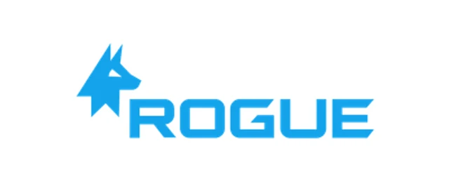 Rogue Security